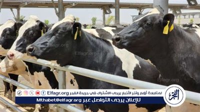 حملة مكثفة للإدارة العامة للإنتاج الحيواني بالفيوم للتأكد من تطبيق الشروط والتراخيص المطلوبه 