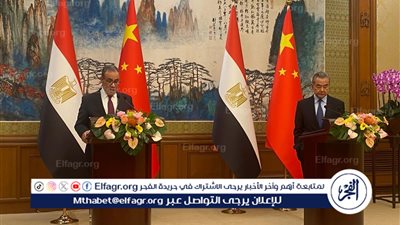 وزير الخارجية والهجرة يترأس الجانب المصري في الجولة الرابعة للحوار الاستراتيجي بين مصر والصين