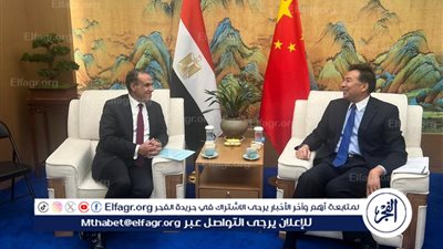 وزير الخارجية والهجرة يلتقي رئيس 