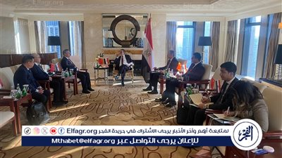 وزير الخارجية والهجرة يلتقي الرئيس التنفيذي لـ 