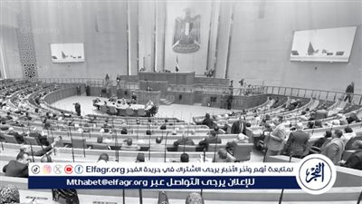 هل تشهد ٢٠٢٥ مولودًا جديدًا للديمقراطية؟.. مصادر تؤكد تأسيس حزب جديد يضم قوى