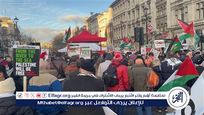 وقفة احتجاجية أمام البرلمان البريطاني تضامنا مع غزة 