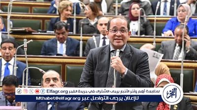 عاجل من وزير المالية بشأن برنامج الأطروحات الحكومية خلال 2025