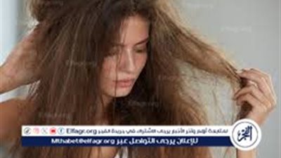 إزاي تعرفي نوع شعرك؟..تعرفي على كل أنواع الشعر وطريقة العناية الصحيحة به
