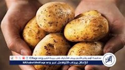  دراسة تكشف: البطاطس مفتاح صحة القلب وإطالة العمر عند تناولها بانتظام