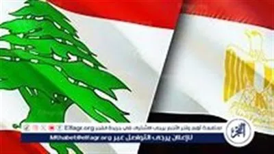 برلماني لبناني سابق: مصر حققت استقرارًا اقتصاديًا نتمنى أن تصل إليه بيروت