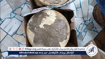 محافظ الدقهلية: إعدام وضبط 2 طن مواد غذائية وعصائر وتحرير 227 محضرًا 