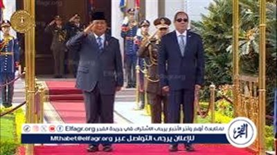 عاجل| السيسي ونظيره الإندونيسي يؤكدان أهمية مواصلة الجهود للوصول لوقف إطلاق النار بغزة
