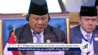 عاجل - رئيس أندونيسا: الدول المشاركة في قمة 