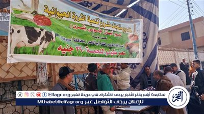 محافظ أسيوط: توفير اللحوم بأسعار مخفضة 290 جنيهًا للكيلو 