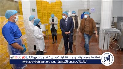 محافظ الدقهلية بالمنطقة الصناعية: بسرعة الانتهاء من تركيب منظومة الأمن الجديدة والبوابات