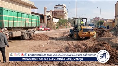 محافظ الدقهلية: رفع 350 طن مخلفات بلدية وأتربة وناتج تقليم أشجار بالمنطقة الصناعية 