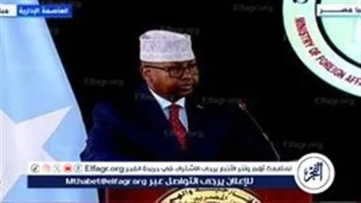 وزير الخارجية الصومالي يشيد بجهود مصر في دفع العلاقات الثنائية لمستويات متميزة