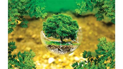 التنمية المستدامة: مفتاح بناء مستقبل مزدهر ومتوازن 