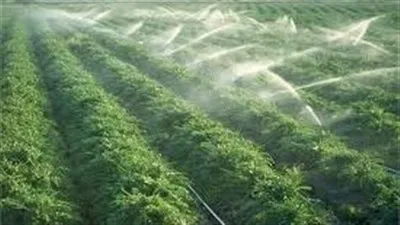 نقيب الزراعيين: نستهدف استصلاح 4 ملايين فدان بنهاية عام 2026