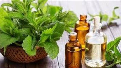 النعناع وصحة النساء: فوائد مذهلة لجسم المرأة وعقلها 