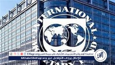 اقتصادي: بيان صندوق النقد يخاطب وزارة المالية لهذا السبب 