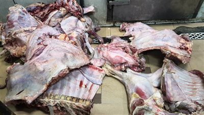 ضبط 13 طنا لحوم من اللحوم البلدية والمستوردة غير صالحة للاستخدام الآدمي