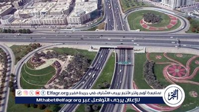 خبير: اهتمام الدولة بقطاع النقل دعّم خطط التنمية فى كافة القطاعات