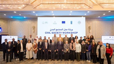 التضامن الاجتماعي تشارك في ورشة عمل حول 