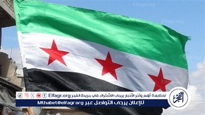 عاجل - السلطات الجديدة في سوريا تعتقل عناصر من 