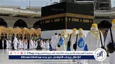 ضبط القائمين على إدارة 7 شركات لاتهامهم بالنصب على المواطنين