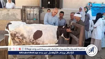 محافظ المنيا يستعرض جهود الطب البيطري لتعزيز الثروة الحيوانية والداجنة