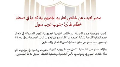 مصر تعرب عن خالص تعازيها لجمهورية كوريا في ضحايا تحطم طائرة جنوب غرب سول