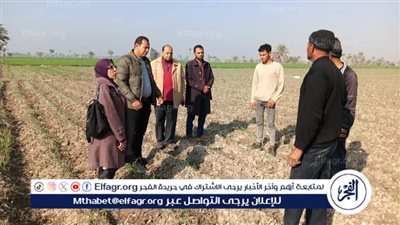 مركز البحوث الزراعية يعزز الدور الإرشادي في الفيوم ضمن مبادرة لتنشيط المراكز الإرشادية الزراعية