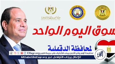 محافظ الدقهلية: انطلاق سوق اليوم الواحد بمدينة المنصورة الخميس المقبل 