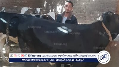 حملة مكثفة للإدارة العامة للإنتاج الحيواني بالفيوم لتفتيش ومراجعة التراخيص