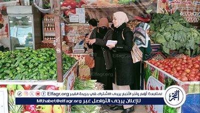 محافظ الدقهلية يحيل 336 محضر مخالفات تموينية للنيابة العامة 