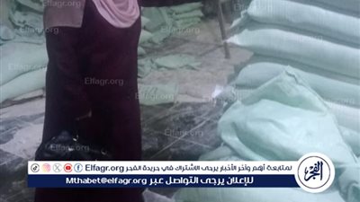 محافظ الدقهلية: ضبط أكثر من 5 طن ملح ومنتجات وسلع متنوعة وتحرير 300 مخالفة 