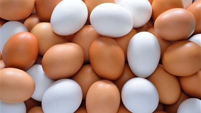 البيض وفوائده: طرق تحضيره وأهمية إضافته للنظام الغذائي
