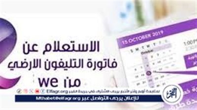 كيفية دفع فاتورة التليفون الأرضي لشهر يناير 2025 بسهولة 
