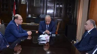 وزير الكهرباء: ملتزمون بالجداول الزمنية المحددة لإنهاء أعمال المشروع محطة الضبعة النووية