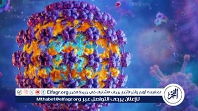 كيف تتعرف على فيروس «الميتانيمو»؟ الأعراض المبكرة وطرق التشخيص السريع