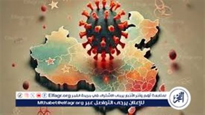 الأوبئة القادمة.. كيف يشكل فيروس «الميتانيمو» تحديًا جديدًا للنظام الصحي العالمي؟ 