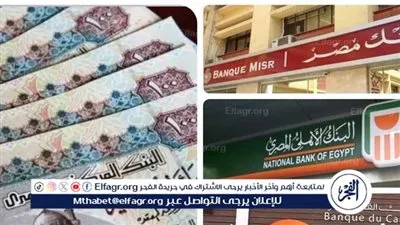 أفضل شهادات الادخار في البنوك المصرية 2025: عوائد مرتفعة وخيارات متنوعة