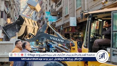  حملات لإزالة الإشغالات وضبط الأسواق بالإسكندرية وغرامات تصل إلى 659 ألف جنيهًا خلال أسبوع