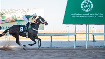  ميدان الملك سعود للفروسية بمنطقة القصيم يقيم حفل سباقه الثالث عشر