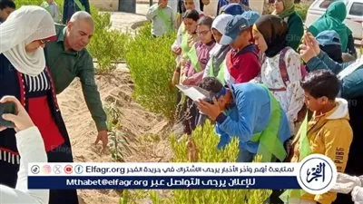 محافظ الفيوم: اعتماد 11 مدرسة بالهيئة القومية لضمان جودة التعليم والاعتماد