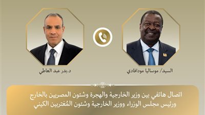 هاتفيا.. وزير الخارجية والهجرة ونظيره الكيني يناقشان تعزيز التعاون المُشترك 