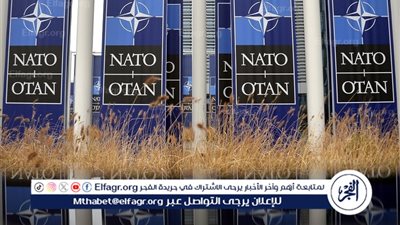 وزير الدفاع البولندي: الوضع في أوكرانيا يقلق وزراء دفاع دول الناتو