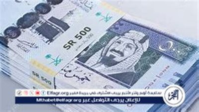 استقرار سعر الريال السعودي مقابل الجنيه المصري اليوم السبت 11 يناير 2025