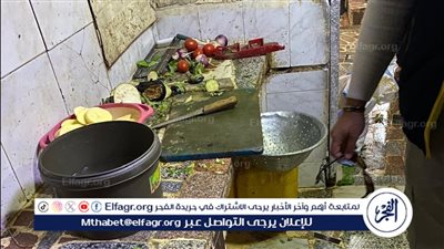 مراقبة الأغذية تستهدف مايزيد عن 13ألف منشأة وتوصى بغلق 3الاف مخالفة بالدقهلية بـ2024