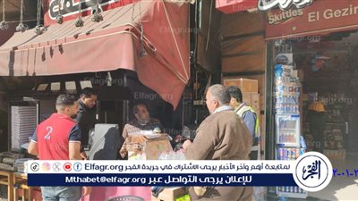 محافظ الإسكندرية يوجه شركة نهضة مصر لرفع كفاءة منظومة النظافة بالمنتزه 