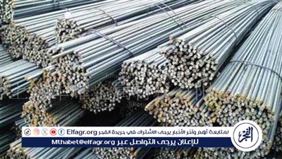 أسعار الحديد اليوم الثلاثاء 14 يناير 2025: انخفاض في الأسعار