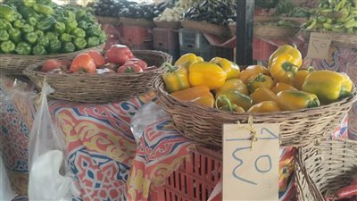 إقامة منفذ لبيع الخضراوات والفواكه للمواطنين بالتجزئة بسعر الجملة في أكتوبر