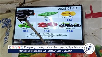 محافظ الدقهلية: تشغيل آلية عرض أسعار الخضروات الأساسية من خلال شاشات إلكترونية في 13 منفذ